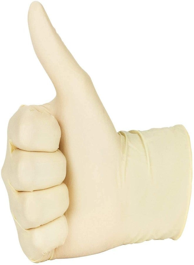 Chef's Star Disposable Powder Free Latex Gloves, 100 Count, Large - Image 2